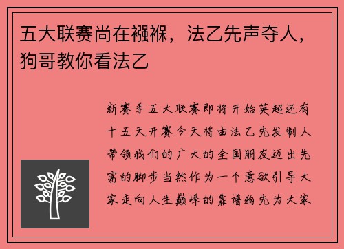 五大联赛尚在襁褓，法乙先声夺人，狗哥教你看法乙